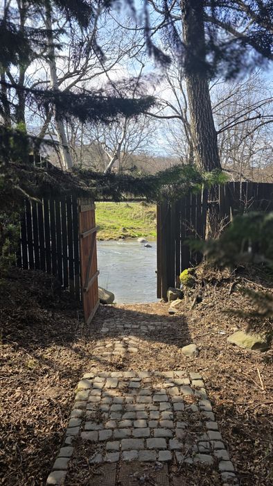 Cabana Tisieu - Ibanesti