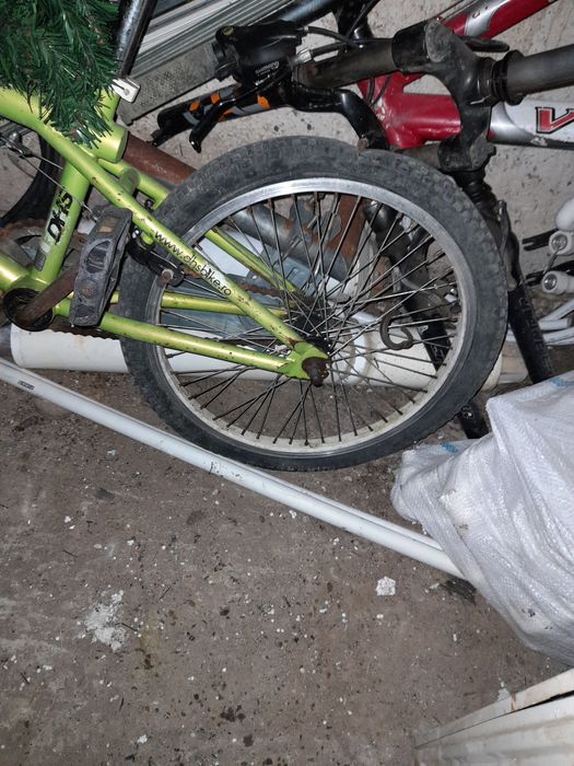 Vând biciclete pentru colecționari