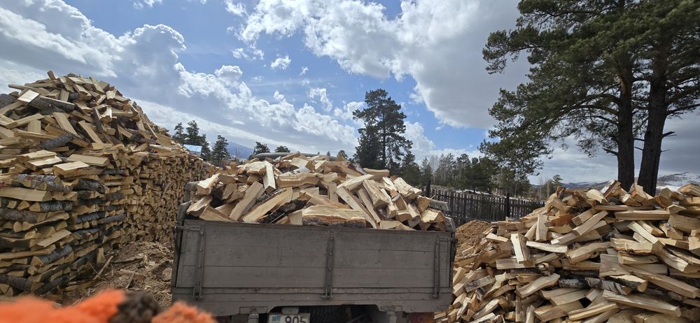 Продам дрова колотые