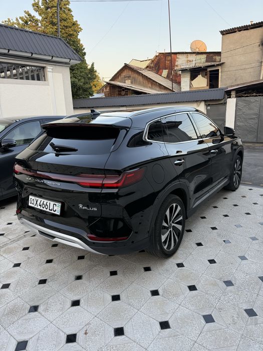 BYD champion EV 2024