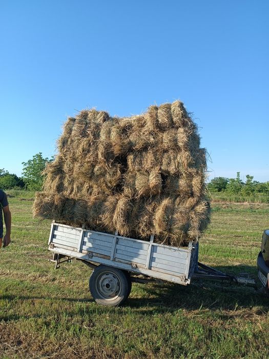 Baloți de iarbă pentru caii
