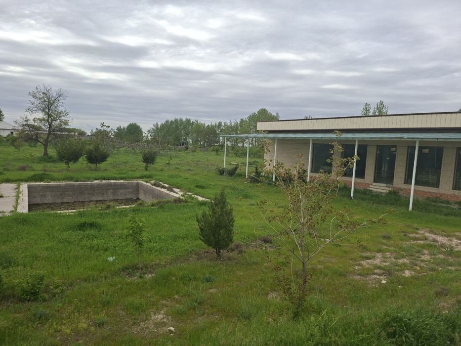 Ижарага кафе берилади