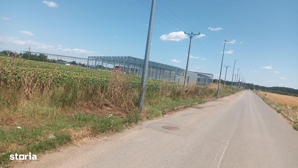 Teren Intravilan Buftea langa Autostrada A0 - ideal hale industriale