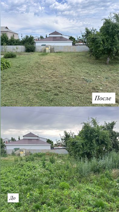 Покос травы везде.
