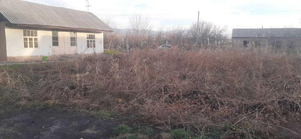 Паркент тумани самсарак кишлогида участка сотилади