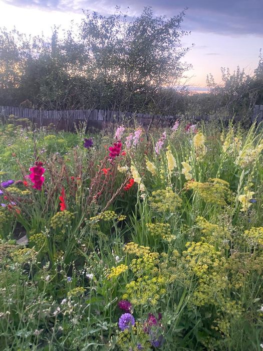 Продается дача на черемушках