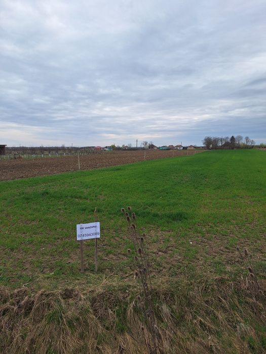 Casa de vinzare plus teren