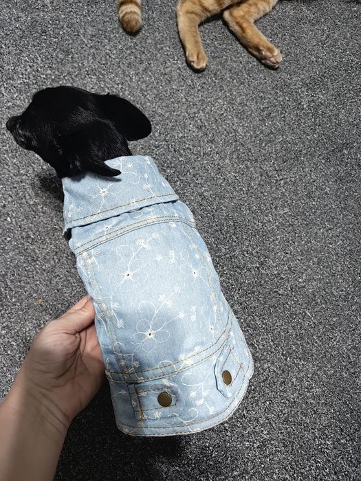 Куртка для собак мелких пород.