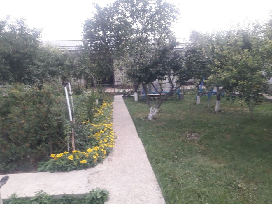 Продам дом в Барданкули