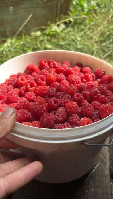 Дачный участок Дача Гудок