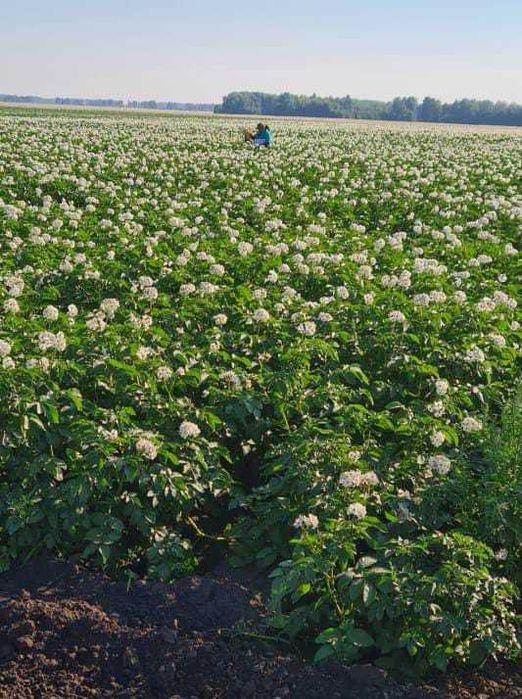 Продается участок 40 км от города