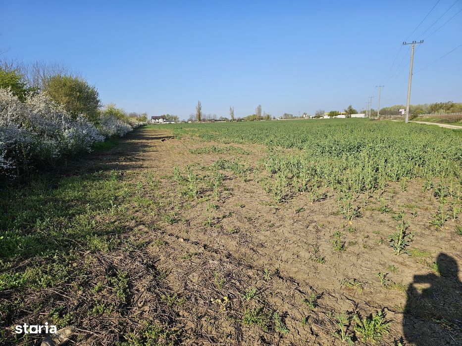 10.100Mp Teren Construcții Intravilan Potigrafu, Deschidere 31M La Dn1