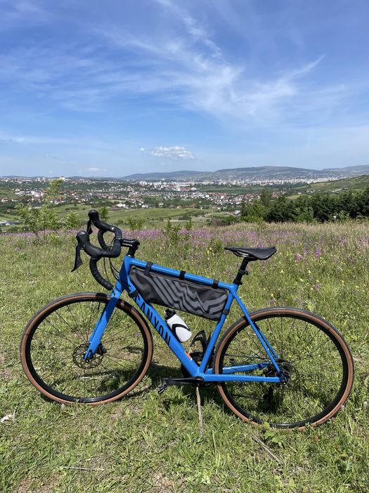 Bicicleta Canyon Endurace AL