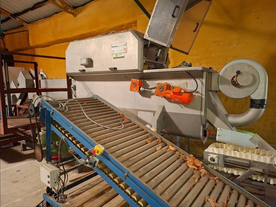 Продаётся линия очистки и обрезки лука SORMAC USM-1 (Голландия)