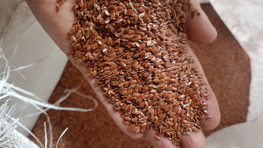 Продам Лён срочно