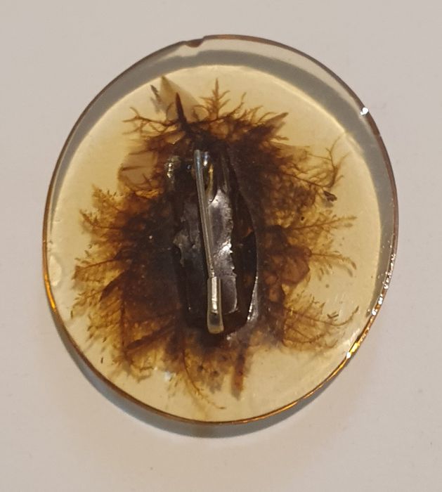 Brose vitange / colectie