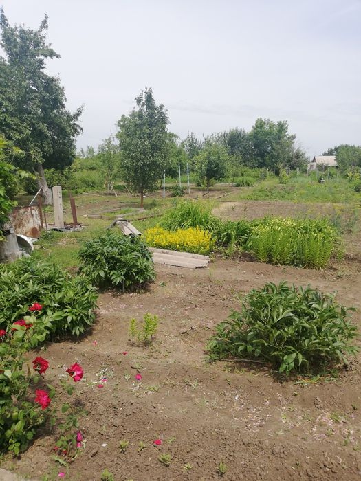 Продам дачу, вторая дачная второй поворот налево