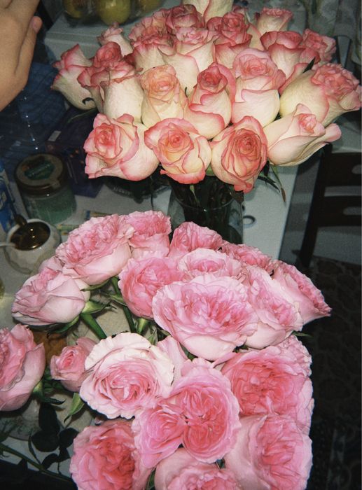 25+25 штук розалар