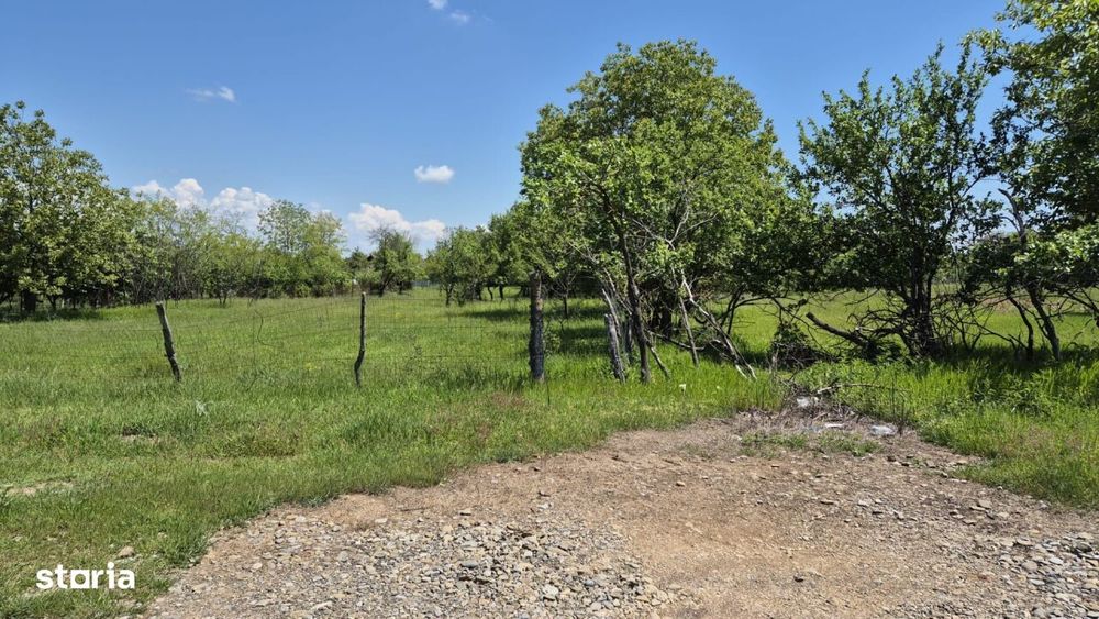 Teren intravilan de vanzare in Baicoi