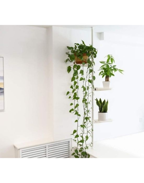 Телескопичен цветарник