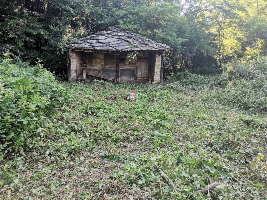 Рязане на опасни дървета ; чистене на дворни места ;рязане на дърва за