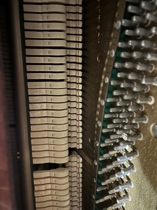 Пиано Немско Ryonish