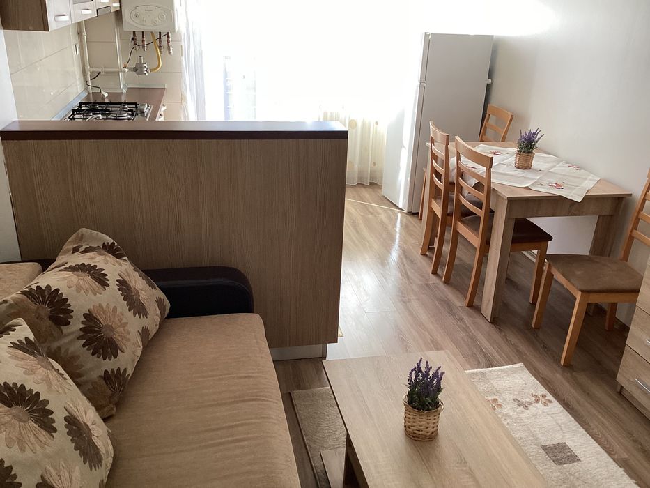 Apartament cu o cameră, Turnisor, Frunzei