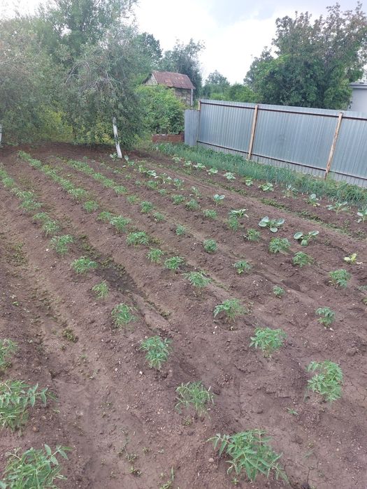 Продам дачный участок