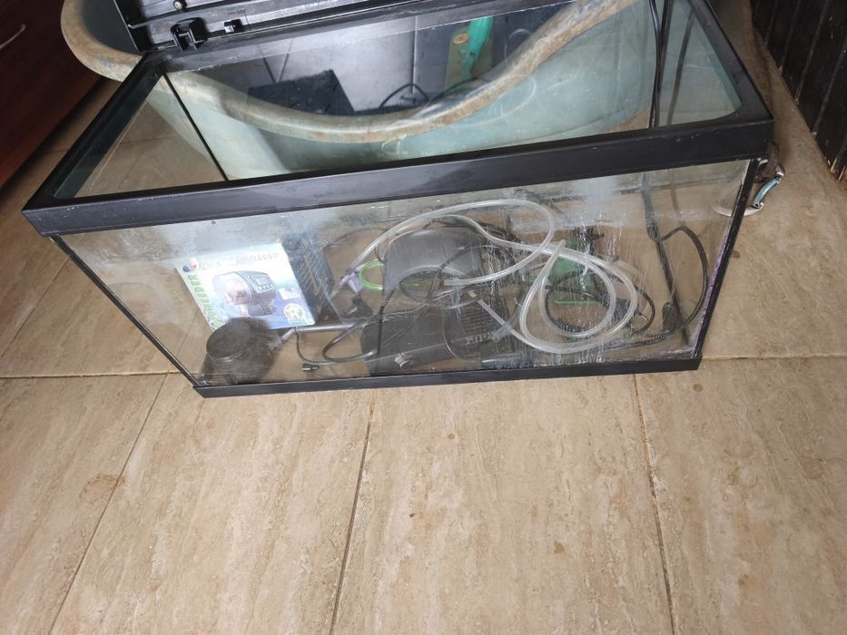 2Tv Samsung 1 mini combina Philips M567 1 acvariu Pești 50l