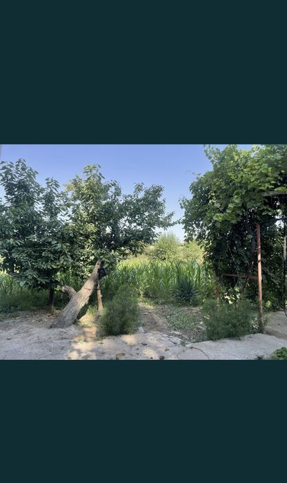 Yer Sotiladi. Srochno. 5 соток