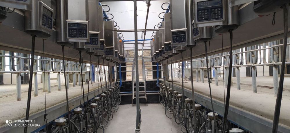 Готовый бизнес! Джиззах ,ферма ,собственник ,со всеми удобствами