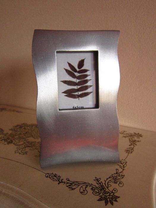 cadou rar miniatura botanic metal masiv inoxidabil tablou Germany'90