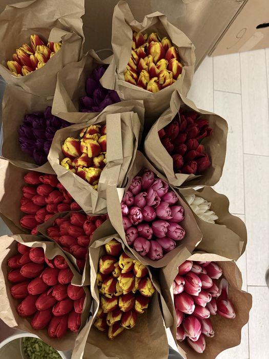 Тюльпан с оформлением ПРЕМИУМ