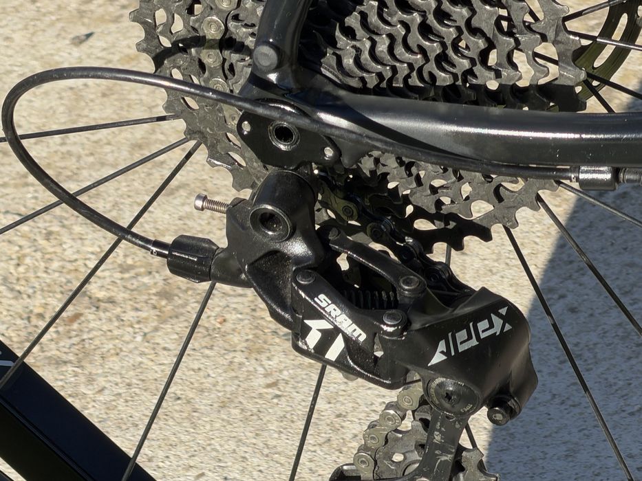 Cursiera RIDLEY