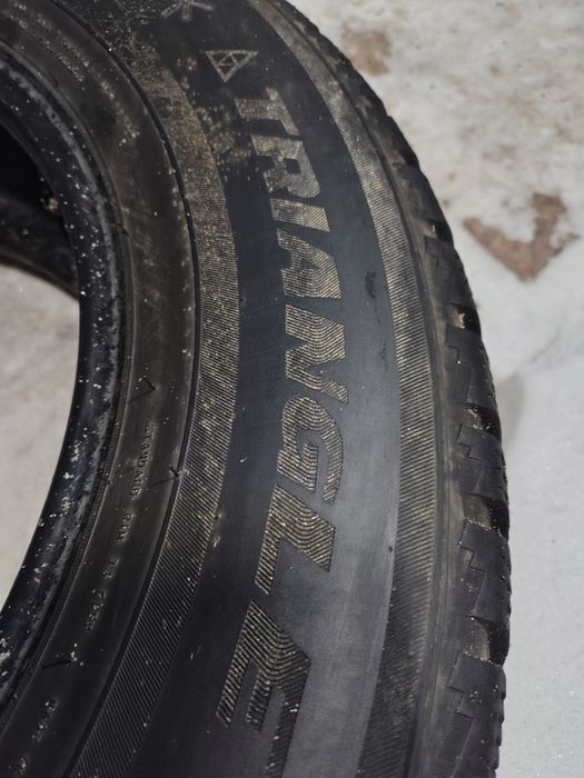 Шины зимние TRIANGLE