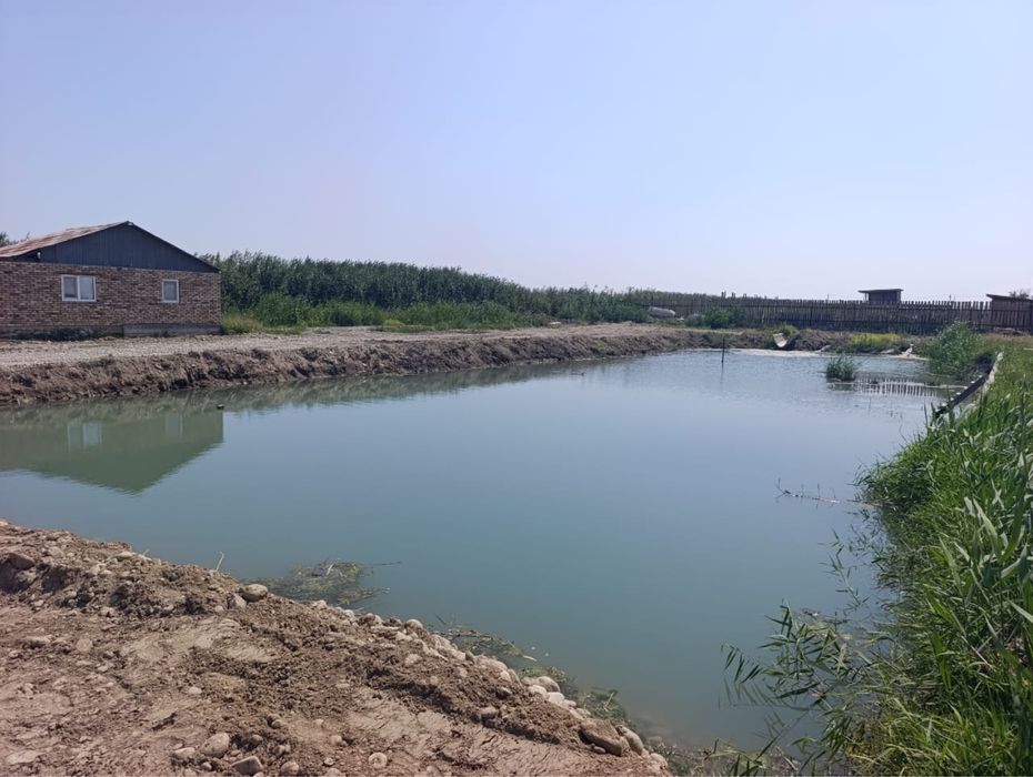 Продается дом с прудом