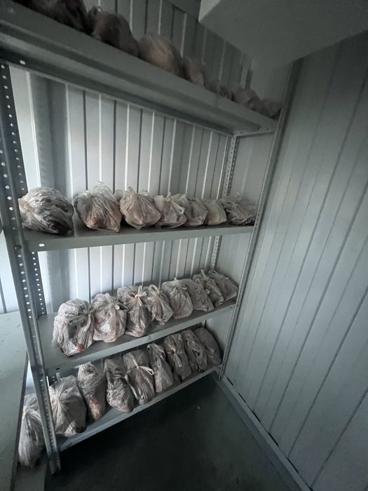 Продам домашних уток