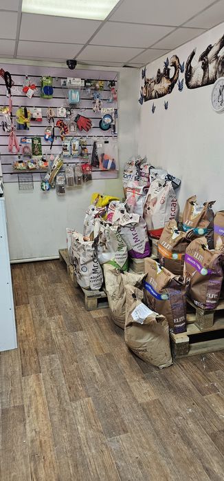 Продаётся действующий зоомагазин