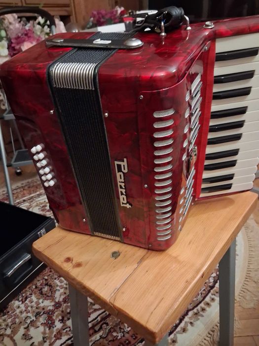 Acordeon pentru copii Parrot