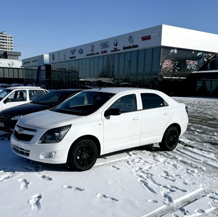 Кобльт Миднайт с завода.Notarius Bonus!