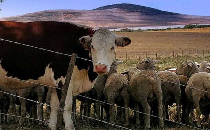 Электропастух комплект