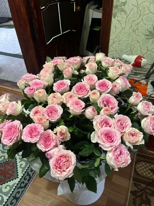 Голландский 71 штук