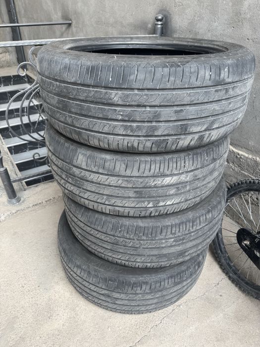 Баллона на BYD Champion