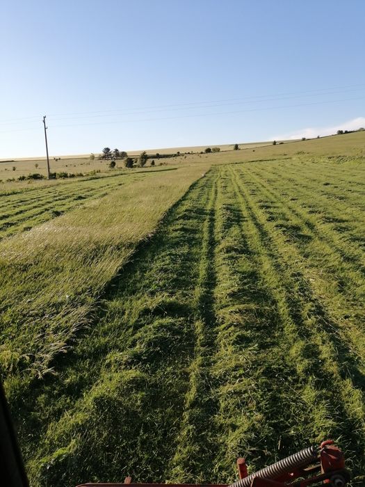 Сено реколта 2025г