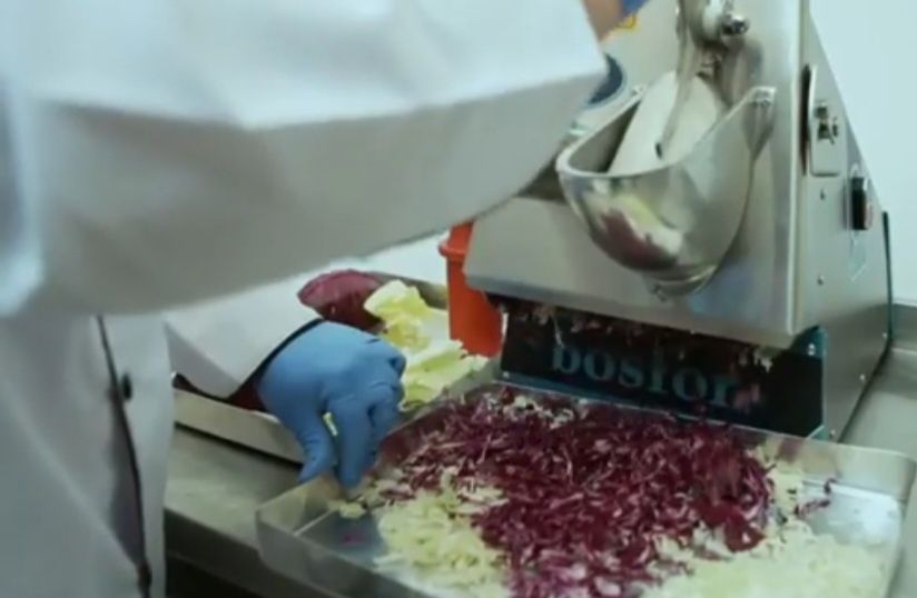 Чипс аппарат Bosfor