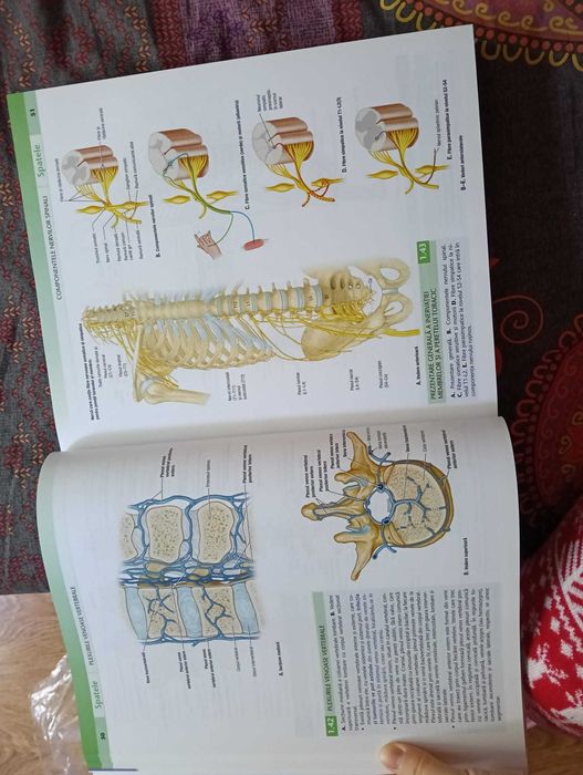 Atals de anatomie Grant, ediția a 14-a