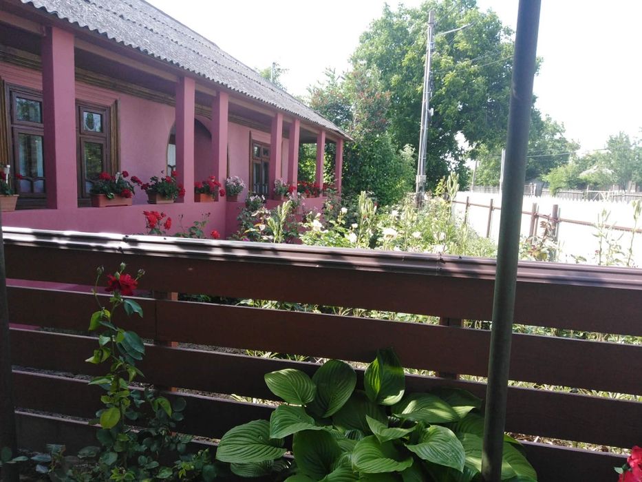 Casă la țară întreținută, 3 camere + teren generos – Trifești județul Iași