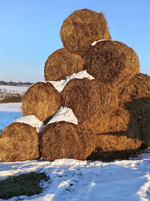 Vand baloti fan paie