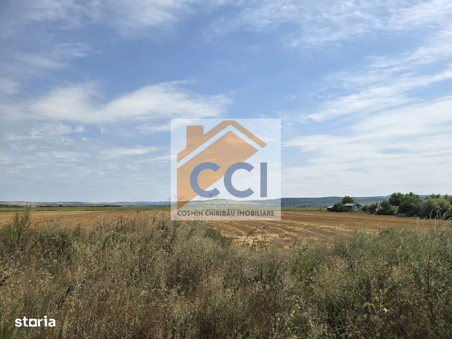 Teren intravilan– 50.000 mp, Bacău, Șoseaua Hol