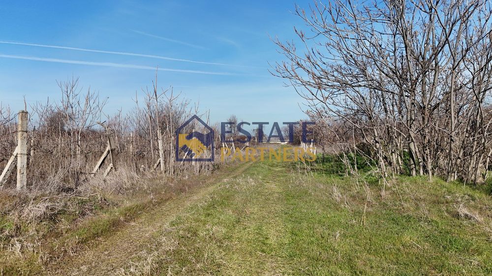 Продава се Парцел в с. Брестник, Област Пловдив - 3599 кв.м за 31 €/кв.м - Снимка #3